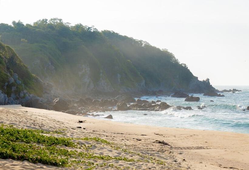 Отель Casa Mauna Boutique