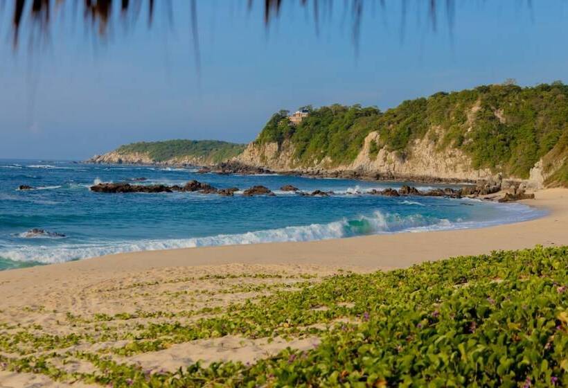 Отель Casa Mauna Boutique