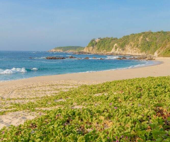 Отель Casa Mauna Boutique