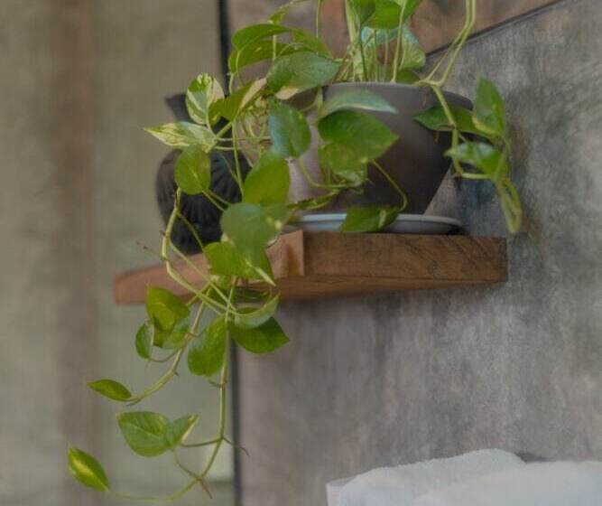 Отель Casa Mauna Boutique