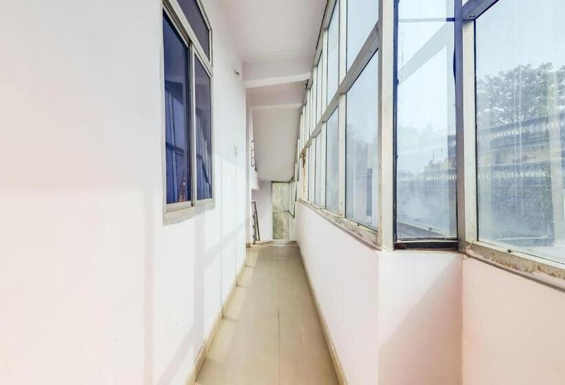 ホテル Super Collection O Dolphin