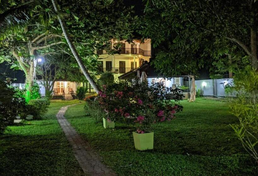 호텔 Paradise Bungalow