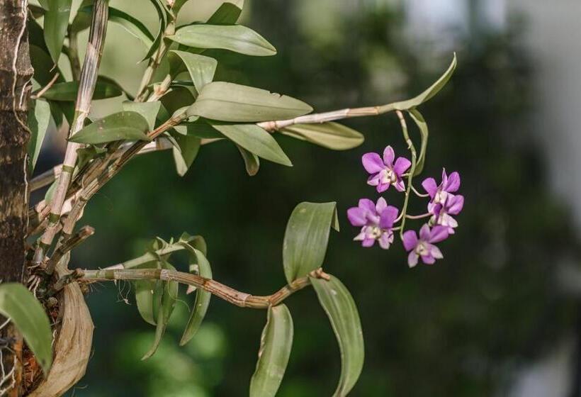 فندق Phka Kravan Boutique