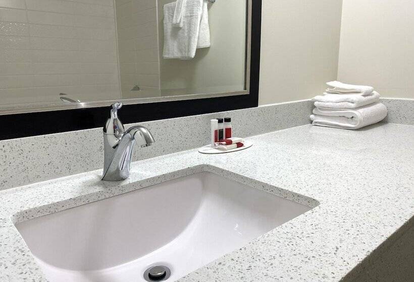 فندق University Inn Of Carbondale