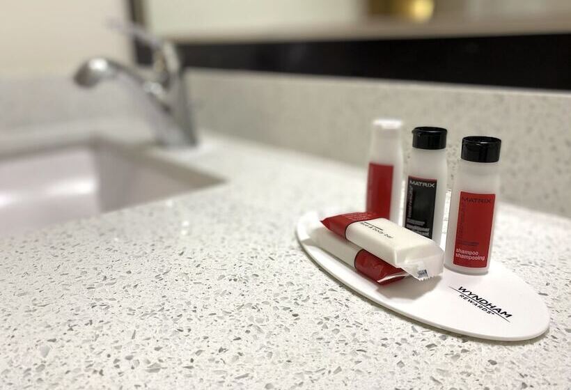 فندق University Inn Of Carbondale