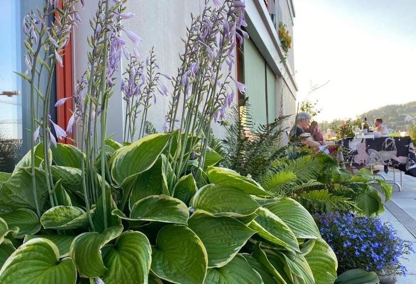 بنسيون Gästehaus Am Lagerplatz