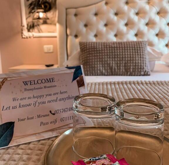 بنسيون Transylvania Mountain View Cdi