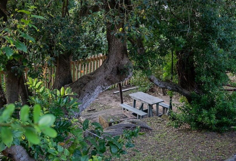 אתר נופש Atkv Natalia