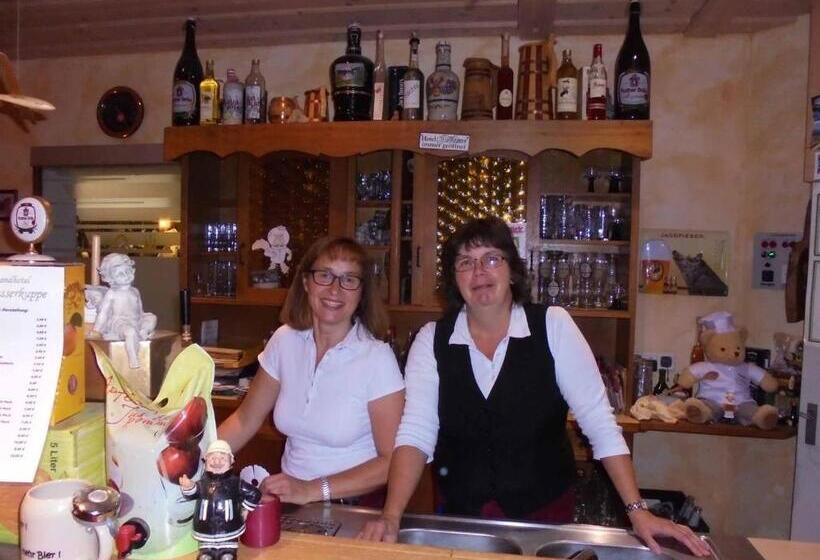 Rhöner Landhotel Haus Zur Wasserkuppe