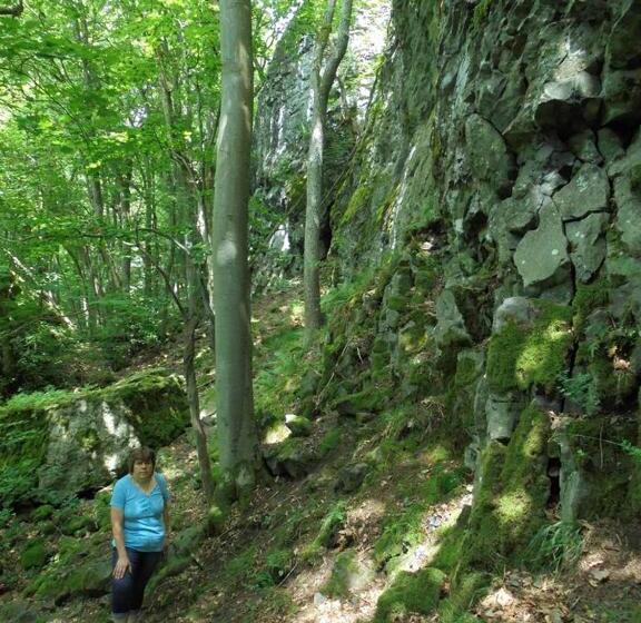 Rhöner Landhotel Haus Zur Wasserkuppe