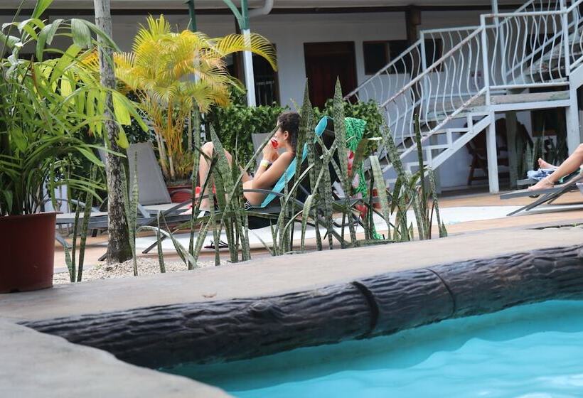 فندق صغير Arenal Poshpacker