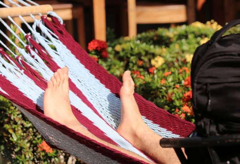 فندق صغير Arenal Poshpacker