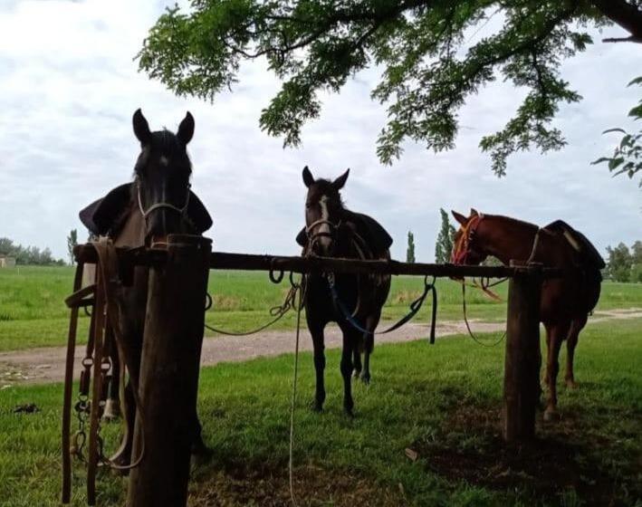 호스텔 Chacras De Azcona Hostería