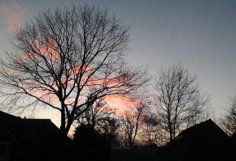 B&b In De Backerije 2