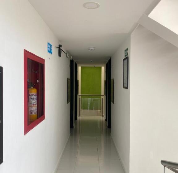 Отель Paradisus