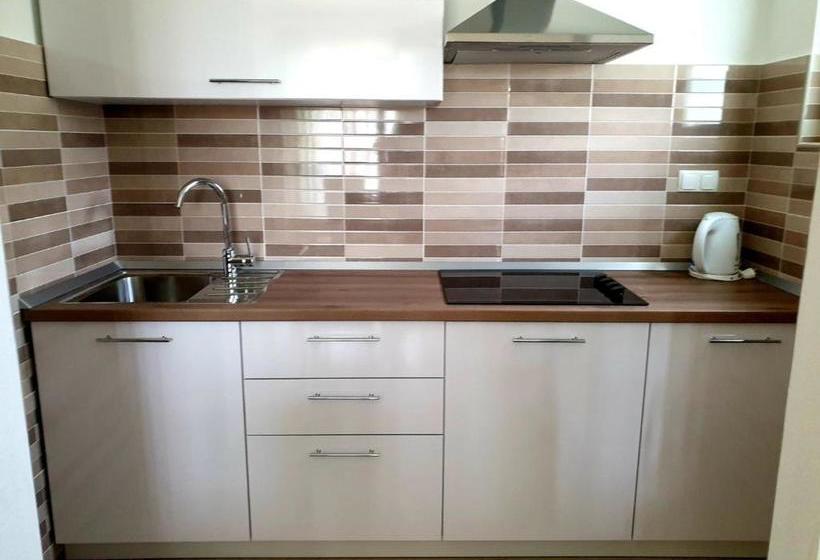 펜션 Apartments Padovan Banjol