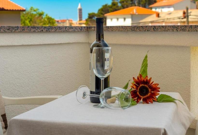 펜션 Apartments Padovan Banjol