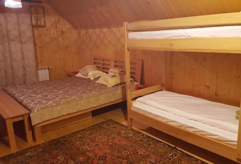 פנסיון Guest House In Carpathians