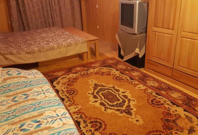 پانسیون Guest House In Carpathians