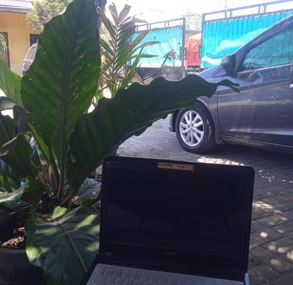 膳宿费 Kost Backpacker