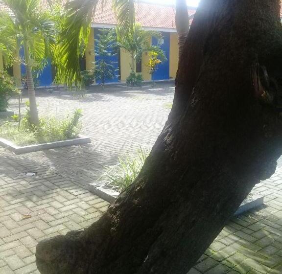 膳宿费 Kost Backpacker