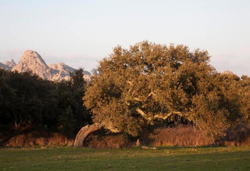 Пансион Locanda Li Manni