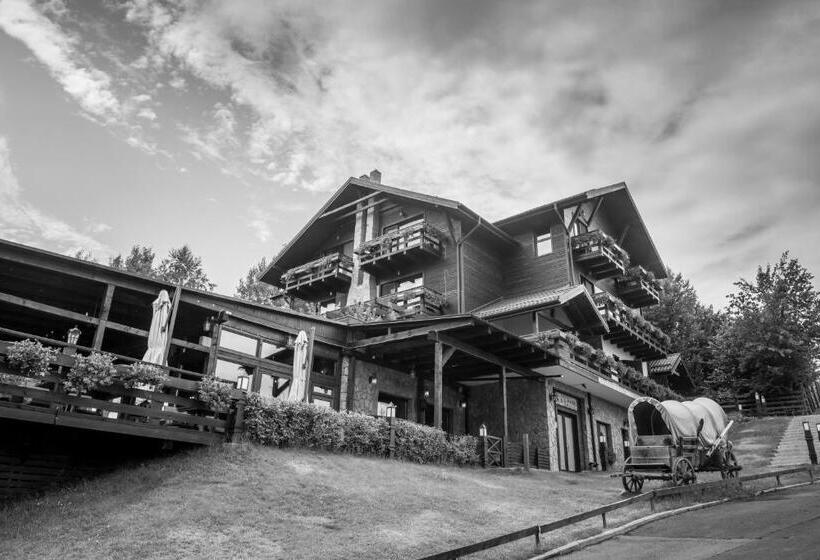 פנסיון Maggie's Ranch