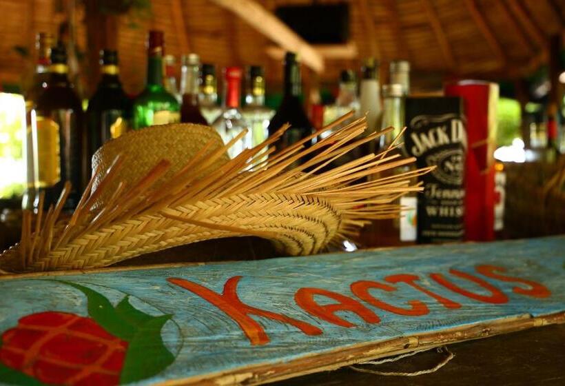 Kactus Eco Resort & Wellness On Kohtakiev Island