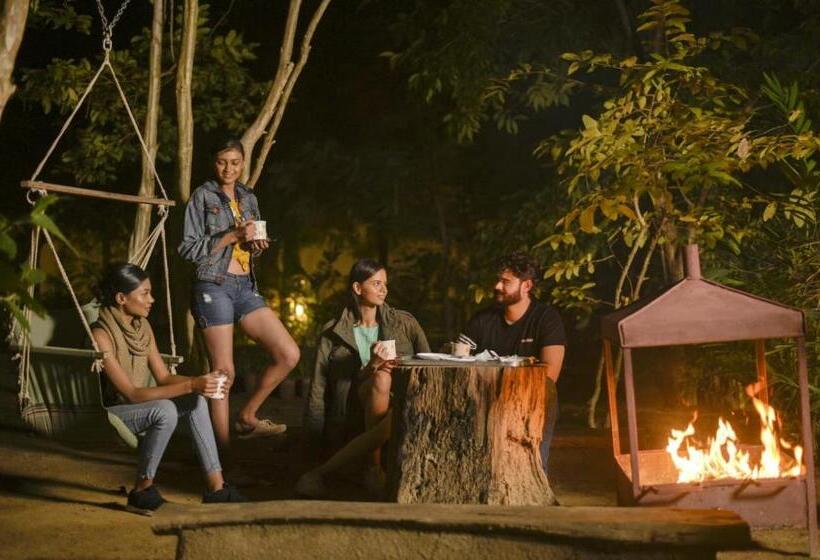 אתר נופש The Celebration Van Vilas