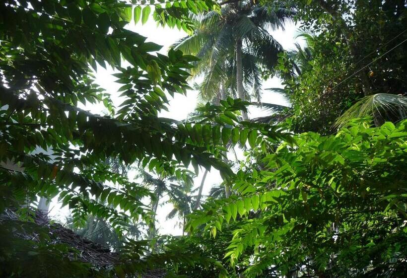 בית מלון כפרי Peacock