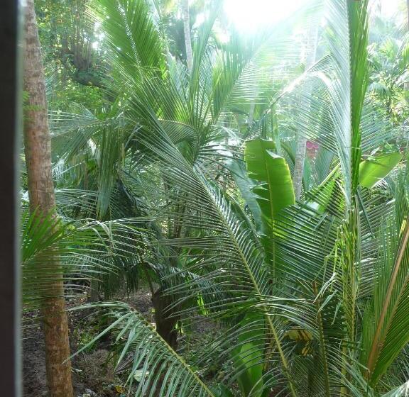 בית מלון כפרי Peacock