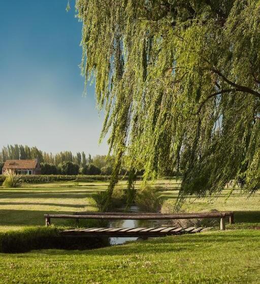 هتل Algodon Wine Estates & Champions Club