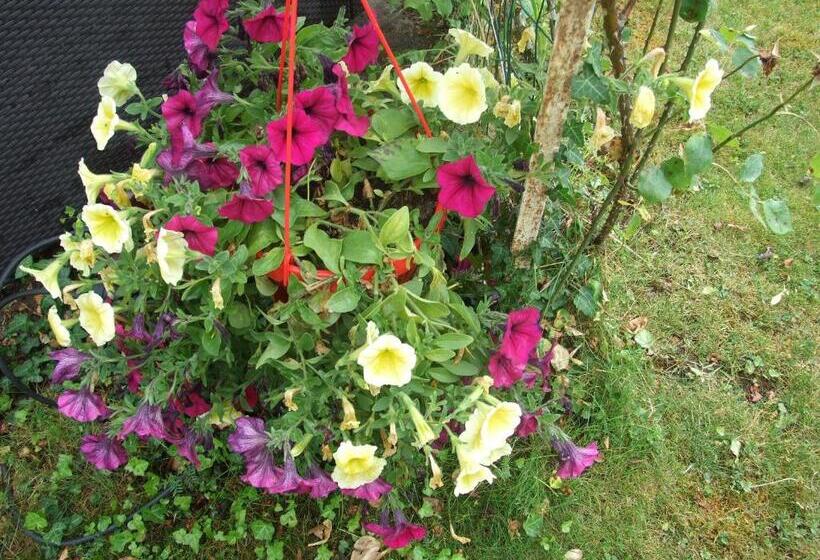 Отель Aurore De Beaufort