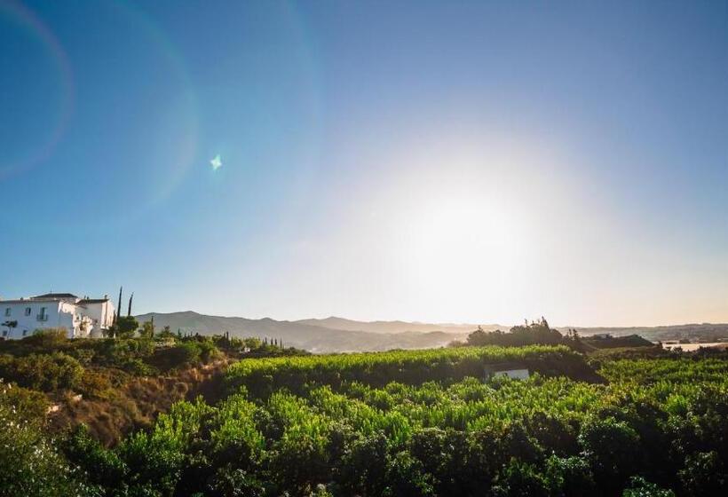 B Bou Hotel Cortijo Bravo