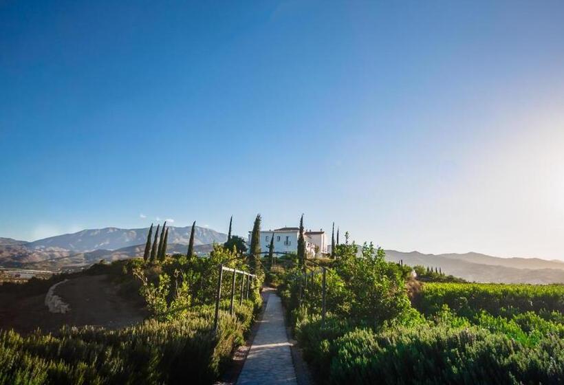 B Bou Hotel Cortijo Bravo