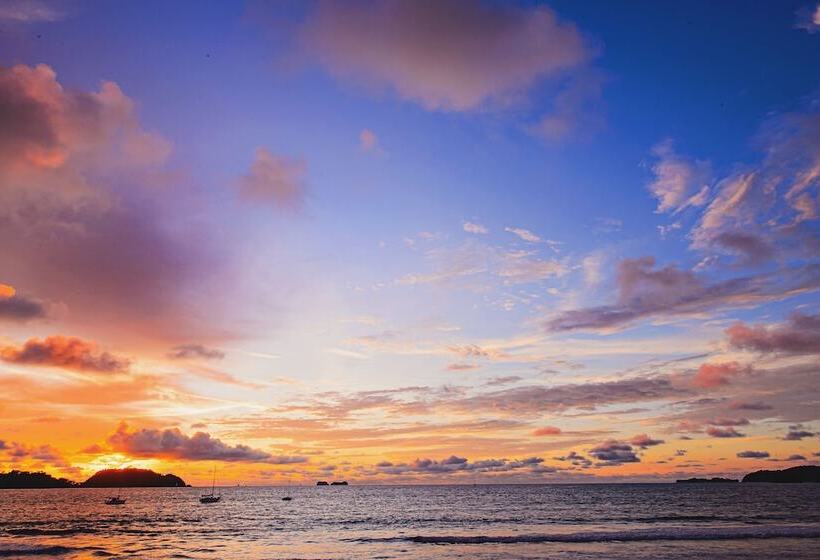 فندق Bahia Del Sol Beach Front Boutique