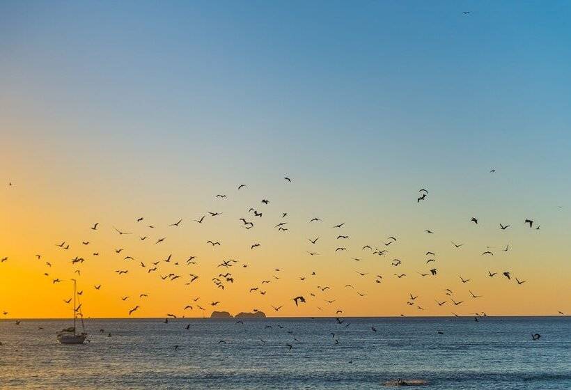 فندق Bahia Del Sol Beach Front Boutique