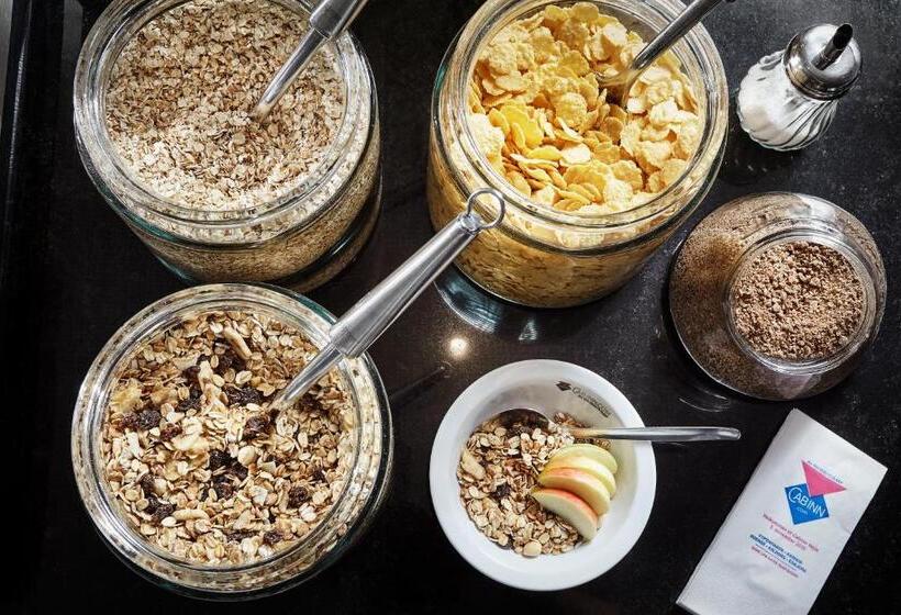 בית מלון כפרי Cabinn Odense