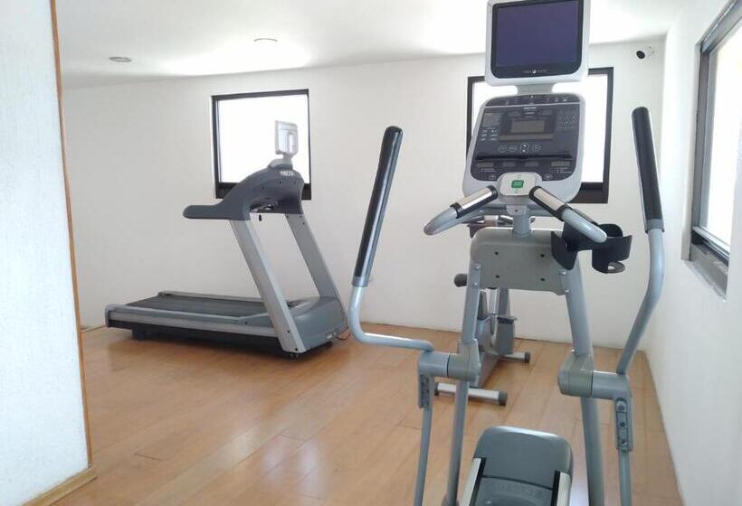 Отель Campestre Inn