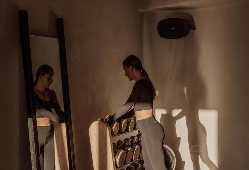 فندق Ananea Mykonos   Adults Only