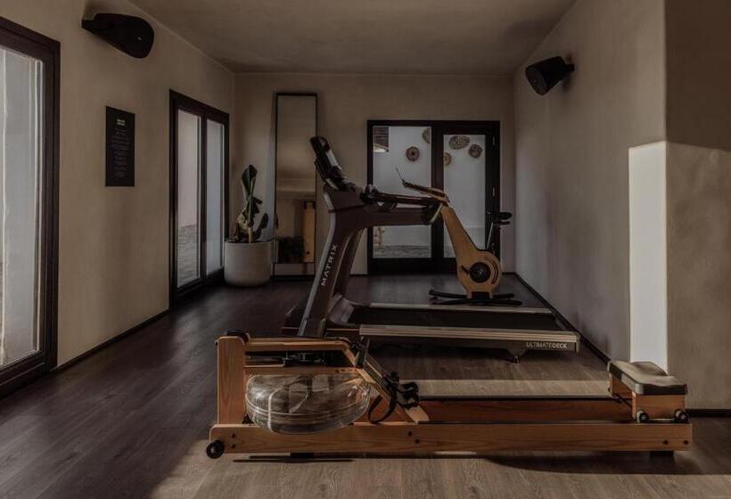 فندق Ananea Mykonos   Adults Only