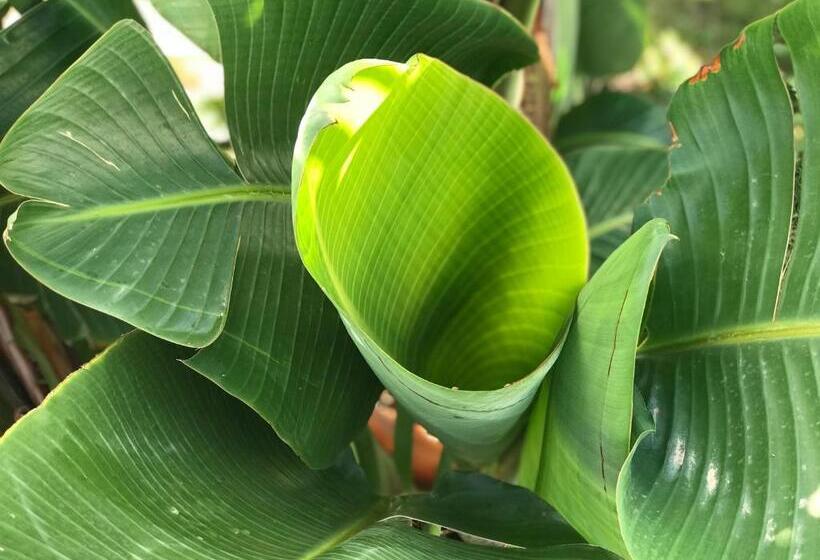 בית מלון כפרי Creta Blue Boutique