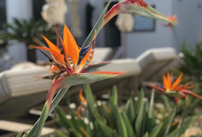 בית מלון כפרי Creta Blue Boutique