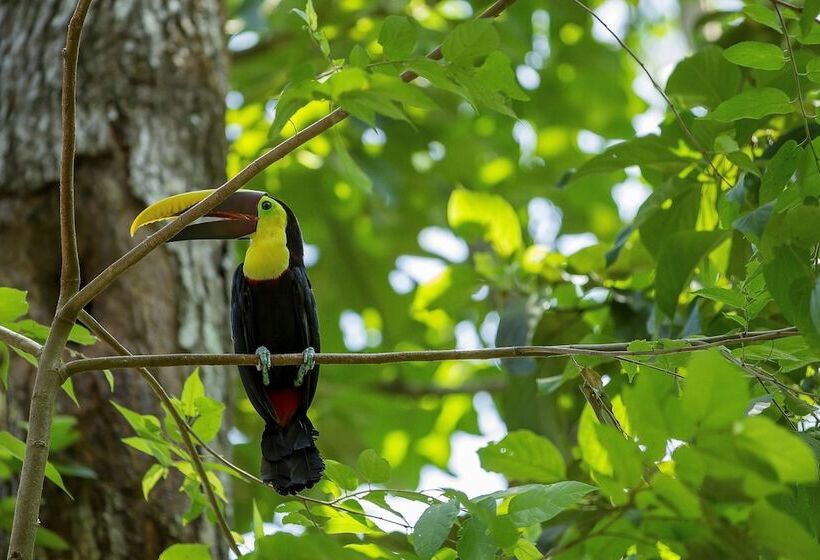 فندق Cuna Del Angel