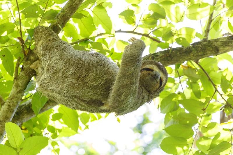 فندق Cuna Del Angel