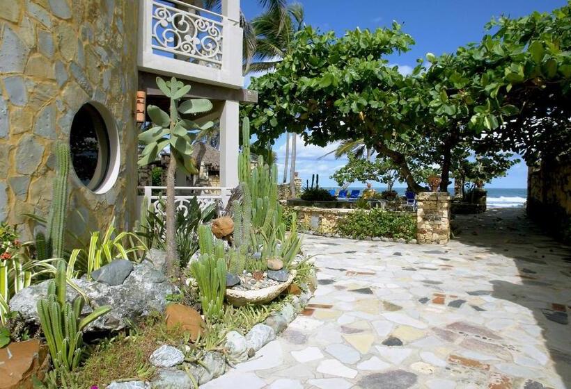 فندق El Magnifico