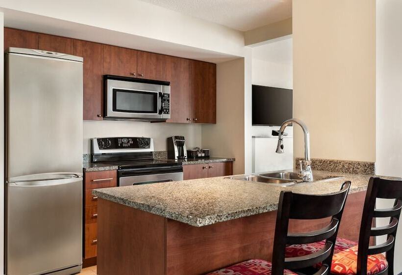 酒店 Embassy Suites Montréal By Hilton