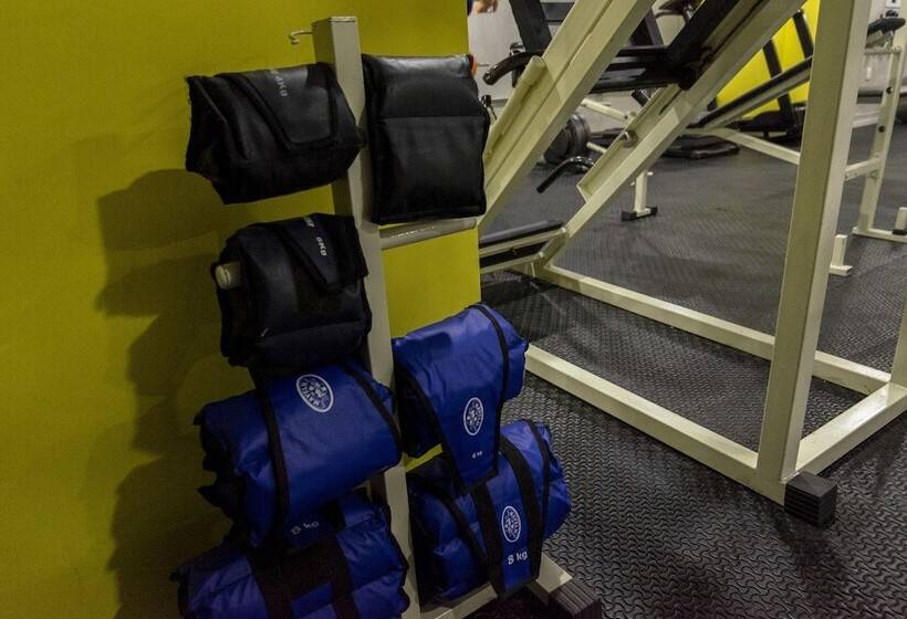 בית מלון כפרי Executive Arrey