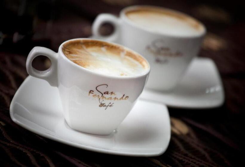 فندق Fernando Plaza