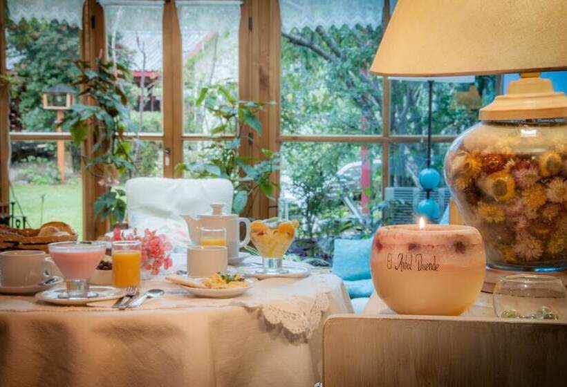 Отель Hostería El Arbol Duende